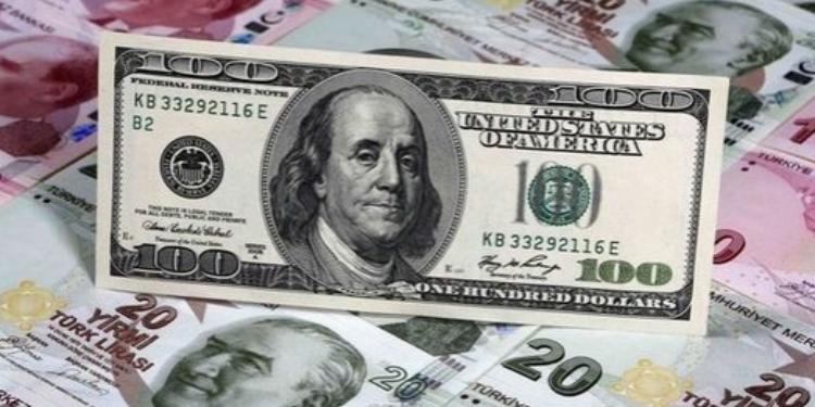 turkiyede-dollar-6-lireye-yaxinlasdi-son-mezenne